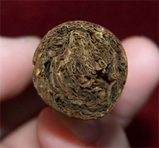 Panacea Maduro - 2